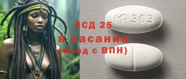 индика Белокуриха