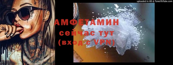 индика Белокуриха