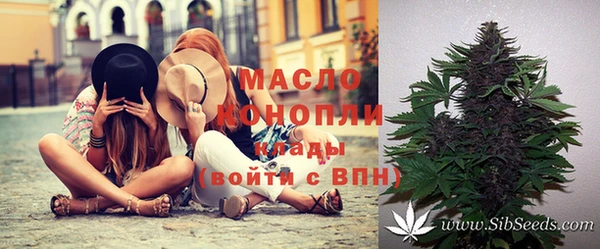 индика Белокуриха