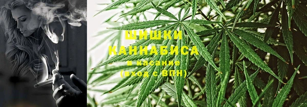 индика Белокуриха
