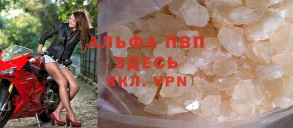 индика Белокуриха