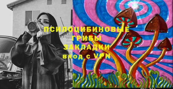 индика Белокуриха