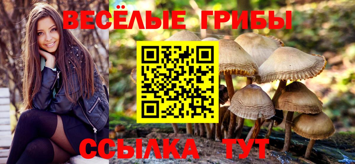 Галлюциногенные грибы прущие грибы Бузулук