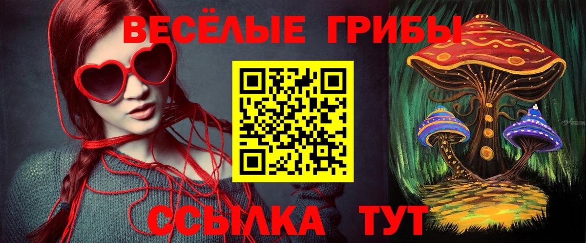 Галлюциногенные грибы мицелий  Вход с VPN  Бузулук 